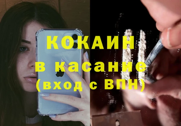 apvp Алексин