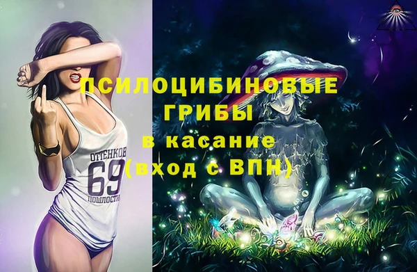 амф Абаза