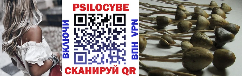 Псилоцибиновые грибы Magic Shrooms  наркота  Злынка 